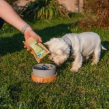 ANIMAL ISLAND Adult Medium Salmone - cibo secco per cani - 12kg