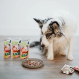 ANIMAL ISLAND Filetti di manzo in brodo - cibo umido per cani - 10x150g