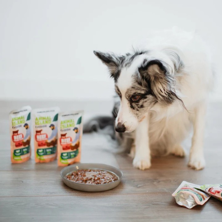 ANIMAL ISLAND Filetti di manzo in brodo - cibo umido per cani - 10x150g