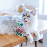 ANIMAL ISLAND Manzo in brodo - cibo umido per gatti - 40x85g