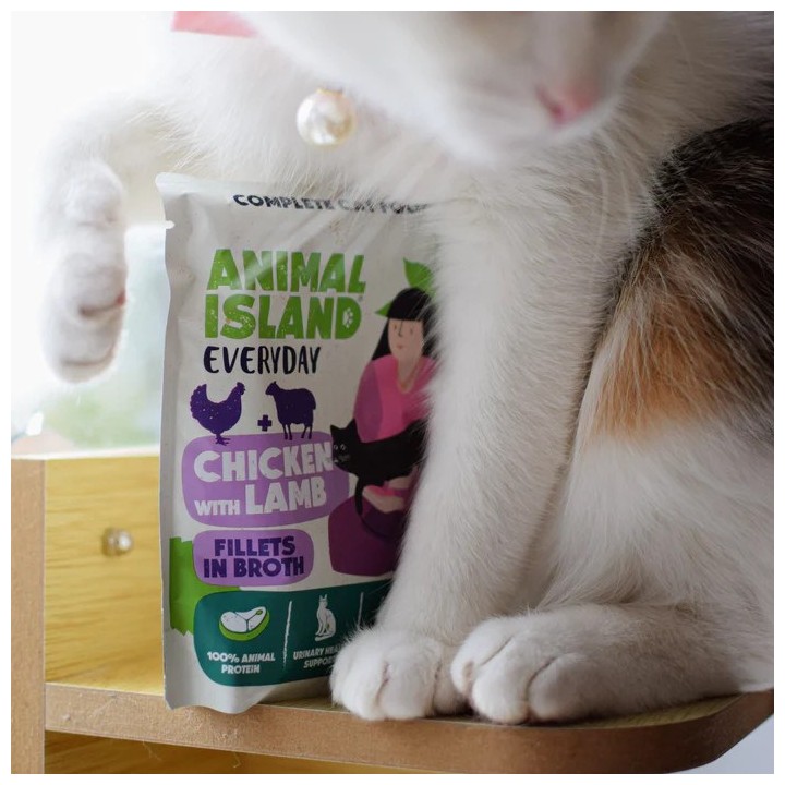 ANIMAL ISLAND Everyday Pollo con agnello in brodo Box - cibo umido per gatti - 12x85g + piatto omaggio