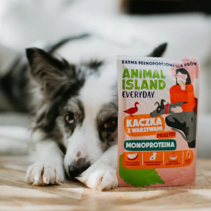 ANIMAL ISLAND Everyday Monoprotein Anatra - cibo umido per cani - 300g