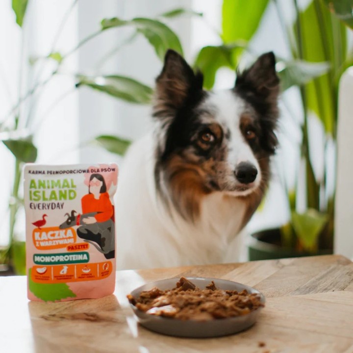 ANIMAL ISLAND Everyday Monoprotein Anatra - cibo umido per cani - 300g