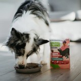 ANIMAL ISLAND Everyday Monoprotein Tacchino - cibo umido per cani - 300g