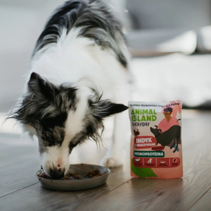 ANIMAL ISLAND Everyday Monoprotein Tacchino - cibo umido per cani - 300g