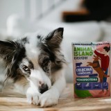 ANIMAL ISLAND Everyday Monoprotein Vitello - cibo umido per cani - 300g