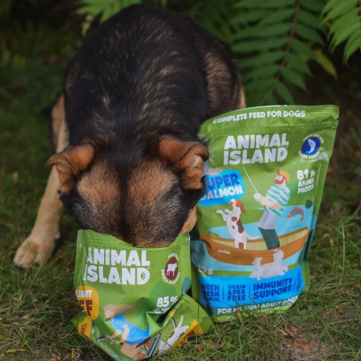 ANIMAL ISLAND Salmone - cibo secco per cani - 1kg