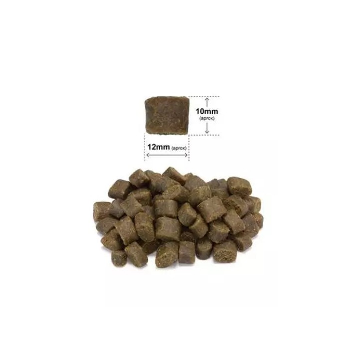 ARQUIVET Fresh Anatra con pesce oceanico - cibo semi-umido per cani - 10 kg
