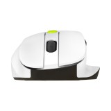 ASUS MD105 /VT-GN Mouse universale per destrorsi RF wireless + Bluetooth 2400 DPI