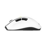 ASUS MD105 /VT-GN Mouse universale per destrorsi RF wireless + Bluetooth 2400 DPI