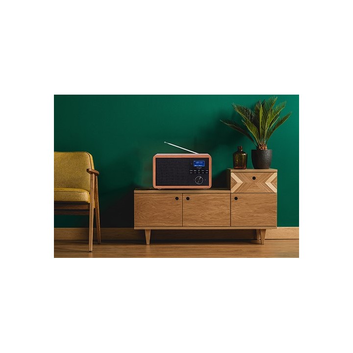 Adler AD 1184 Radio portatile digitale nero legno