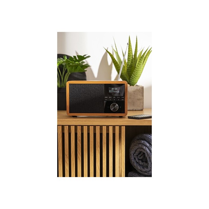 Adler AD 1184 Radio portatile digitale nero legno