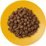 APPLAWS Adult Pollo - cibo secco per gatti - 400g