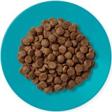 APPLAWS Adult Pesce oceanico con salmone - cibo secco per gatti - 1 8kg