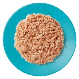 APPLAWS Selezione di pesce multipack in brodo - cibo umido per gatti - 12x70g