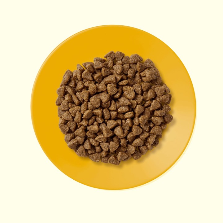 APPLAWS Kitten Pollo - cibo secco per gatti - 2kg