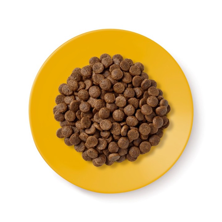 APPLAWS Senior Pollo - cibo secco per gatti - 2kg