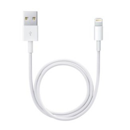 Apple Cavo Lightning verso USB (0.5 m)