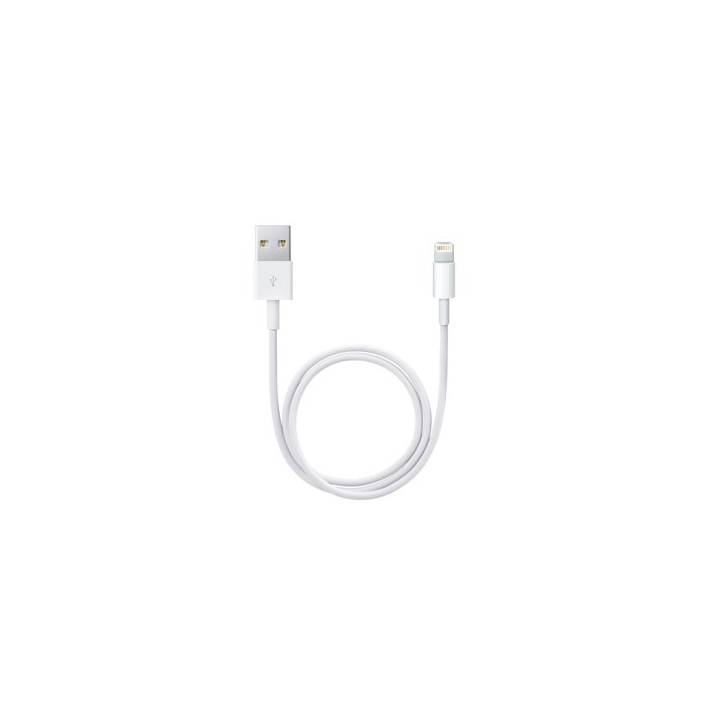 Apple Cavo Lightning verso USB (0.5 m)