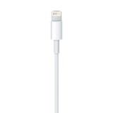 Apple Cavo Lightning verso USB (0.5 m)