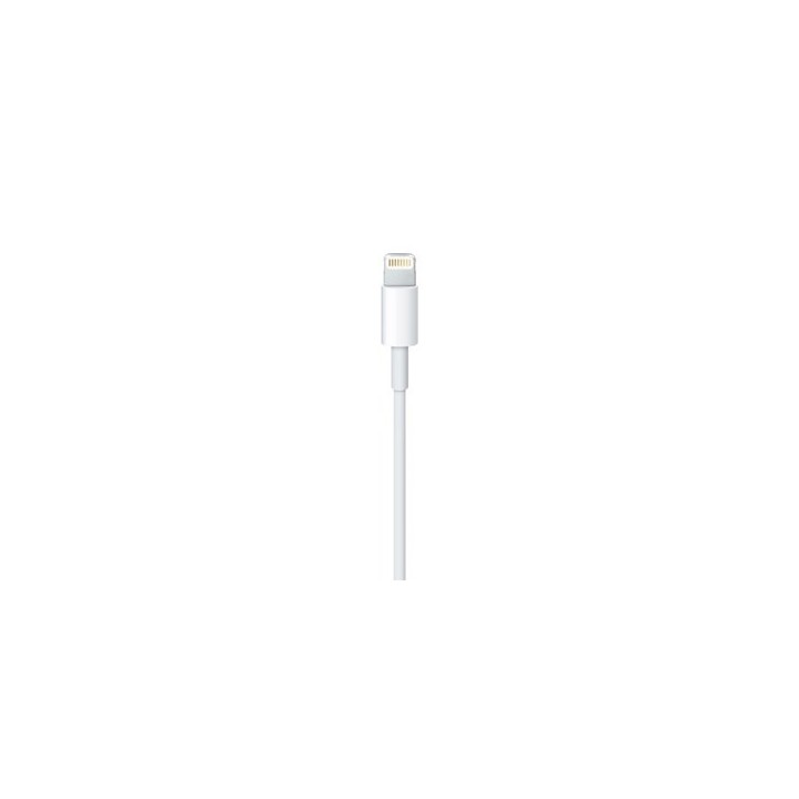 Apple Cavo Lightning verso USB (0.5 m)