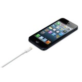 Apple Cavo Lightning verso USB (0.5 m)