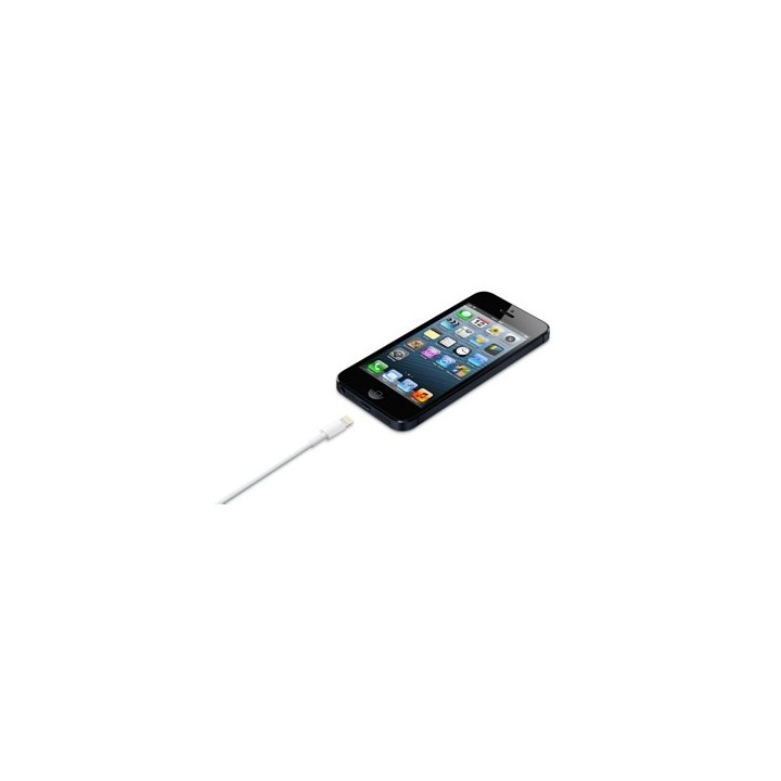 Apple Cavo Lightning verso USB (0.5 m)