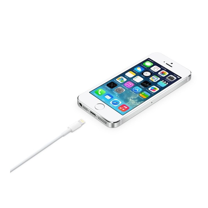 Apple Cavo Lightning verso USB (2 m)