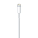Apple Cavo Lightning verso USB (2 m)