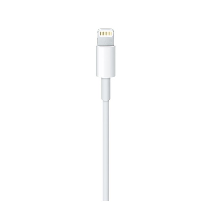 Apple Cavo Lightning verso USB (2 m)