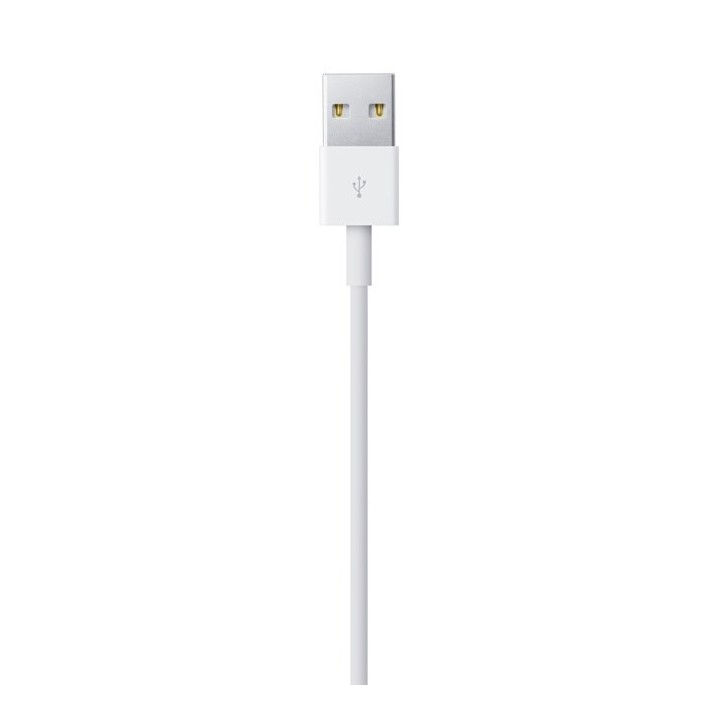 Apple Cavo Lightning verso USB (2 m)