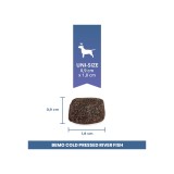 BEMO Pesce di fiume pressato a freddo Mono - cibo secco per cani - 1kg