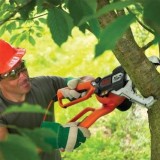 Black & Decker GK1000-QS potatore elettrico