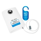 BLOW OZ-02 Generatore di ozono mini ozonizzatore 1000 mg/h 15W