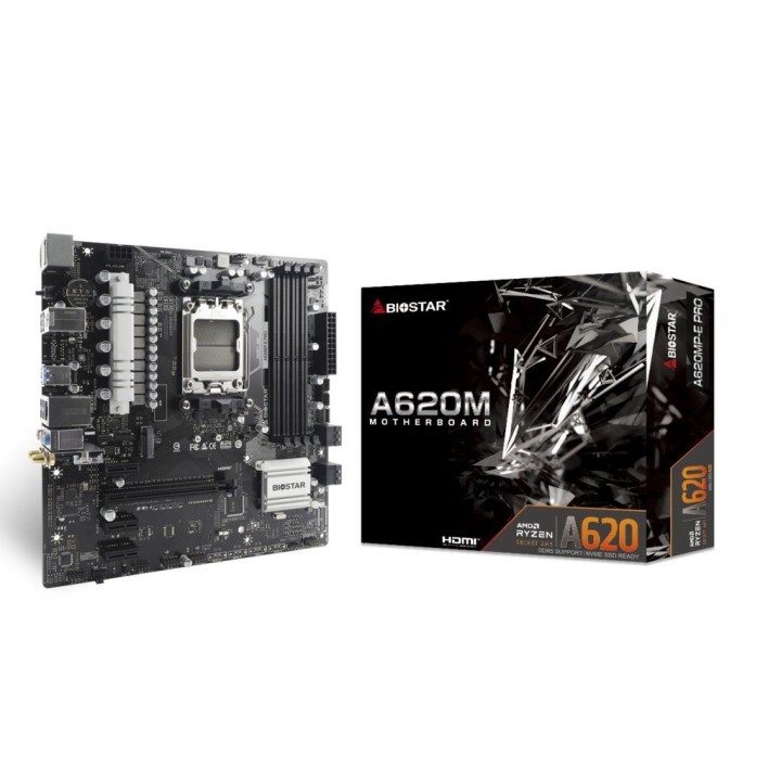 BIOSTAR A620MP-E PRO scheda madre