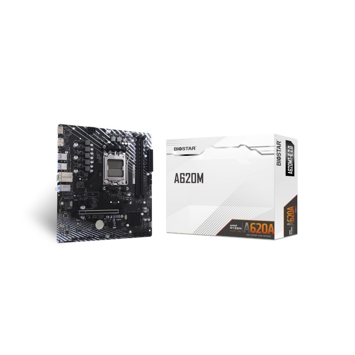 BIOSTAR A620MT-E 2.0 scheda madre