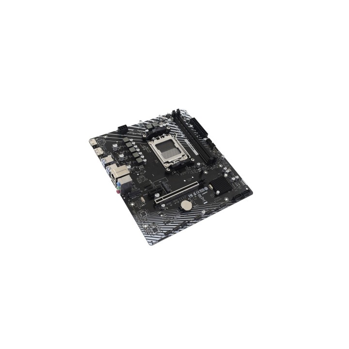 BIOSTAR A620MT-E 2.0 scheda madre