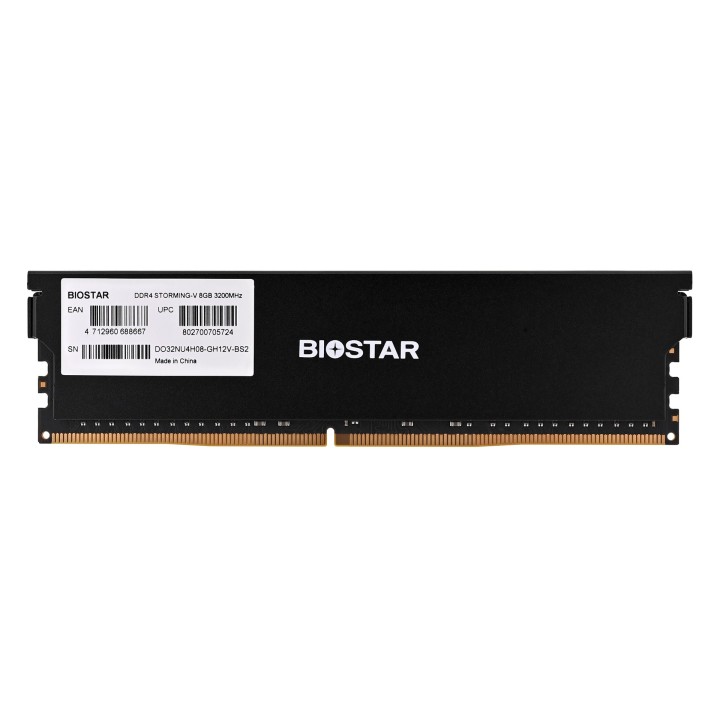 Modulo memoria Biostar DDR4 Storming V 8 GB 1 x 8 GB 3200 MHz (DX32NU4H08)