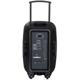 Blaupunkt PA12 altoparlante portatile 650 W altoparlante stereo portatile nero