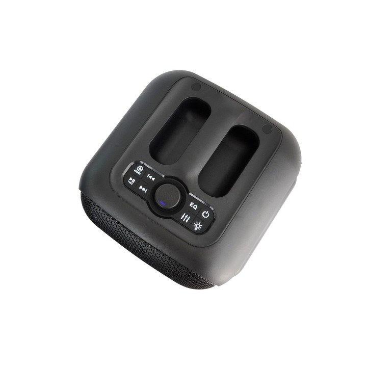 Blaupunkt PB6LED altoparlante portatile/party nero