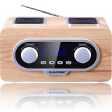 Blaupunkt PP5.2CR Radio portatile Legno