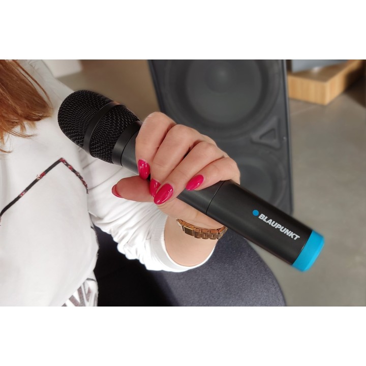 Blaupunkt UHF WM60UDB Microfono wireless doppio