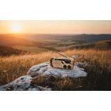 Radio sveglia di emergenza BLAUPUNKT ER10DC mimetico deserto