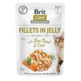 BRIT Care Filetti in gelatina Scatola gusti - cibo umido per gatti - 12 x 85g