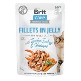BRIT Care Filetti in gelatina Scatola gusti - cibo umido per gatti - 12 x 85g