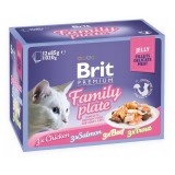BRIT Premium Family Plate Filetti in gelatina Mix di gusti - cibo umido per gatti - 12x85g