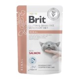 BRIT VD Renal Cat Pouch - cibo umido per gatti - 12x85g