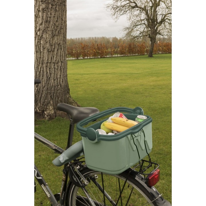 Frigorifero portatile verde 10L 261196 CURVER