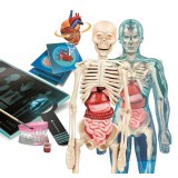 Clementoni Set – Super Anatomia