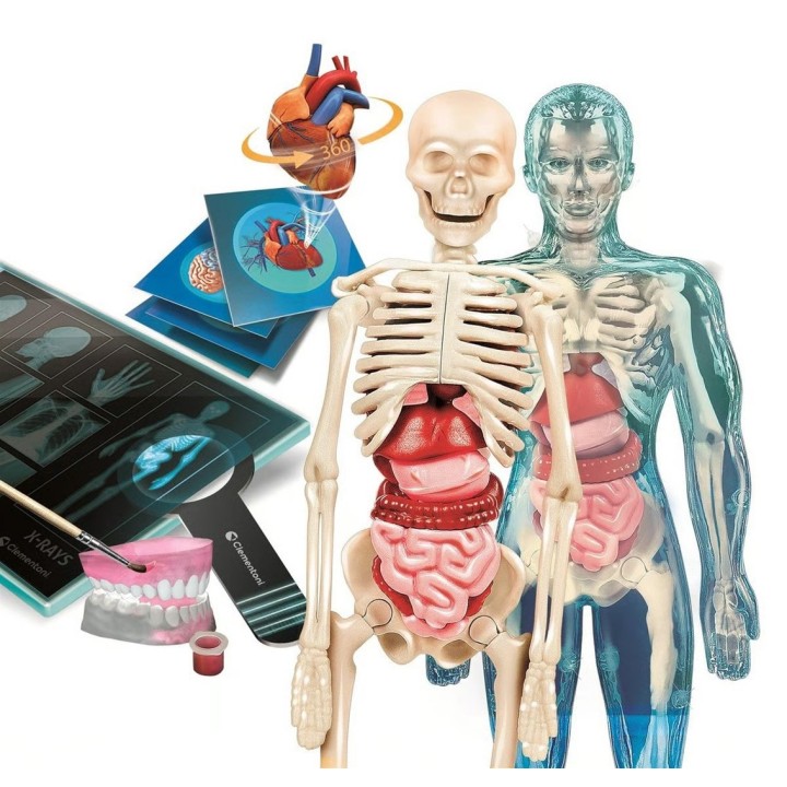 Clementoni Set – Super Anatomia